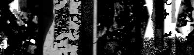 borders scraps grunge abstract textures edges