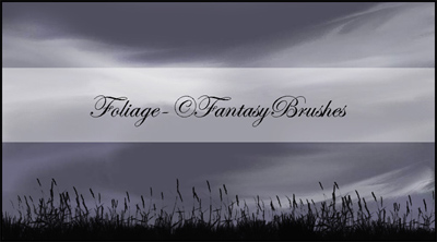 vegetal nature plants herbs fields grass