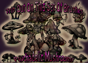 vegetal nature mushrooms drawings psychadelic