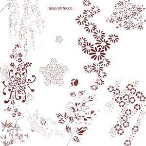 vegetal nature plants flowers japan japanese