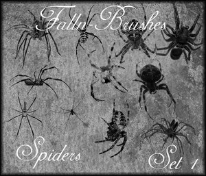 insects bugs spiders