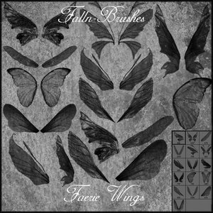 butterflies butterflie wings fairy fairies tales pixies flying