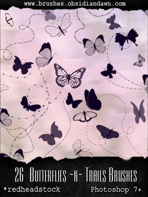 nature animals butterflies flight trails butterfly