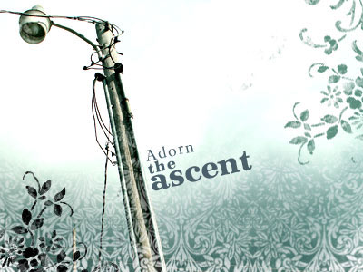 decorations decorative embellishements ornaments arabesques filigrees grungy grunge worn flowers borders frames