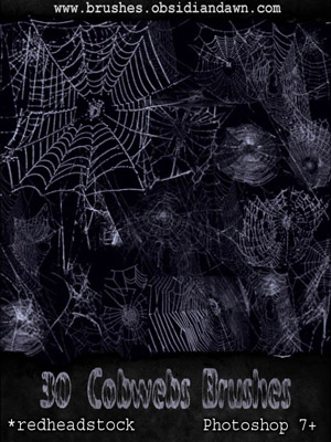 cobwebs spiders spiderwebs dusty