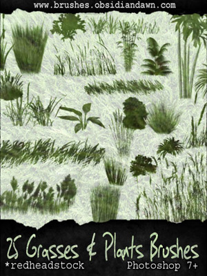 vegetal nature plants leaves grasses bamboo cattails hay barley bushes
